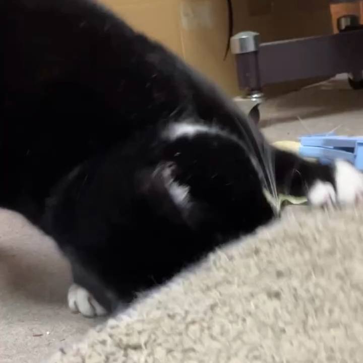 Bbafbdb3 5264 4038 8dda cdf64d403635 1741570833245