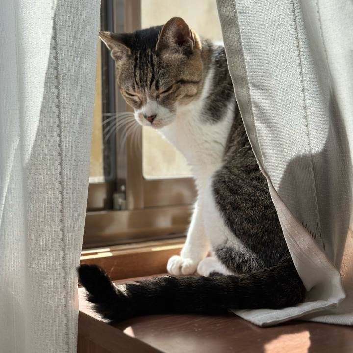 Bbafdab3 a80c 4b6d b029 3c0a7813ec71 1679277798184