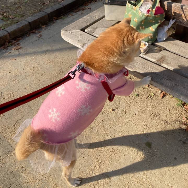 Bbafeae4 9c1a 4cd7 844f 6e2b7cced4f6 1639617314288