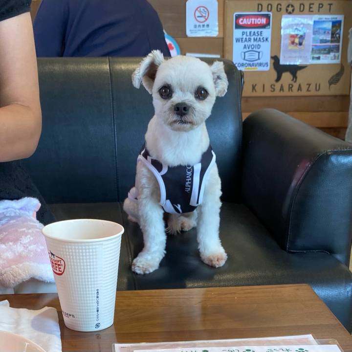 Bbaff2f4 664a 4fbc b226 1fa709746557 1628845424351