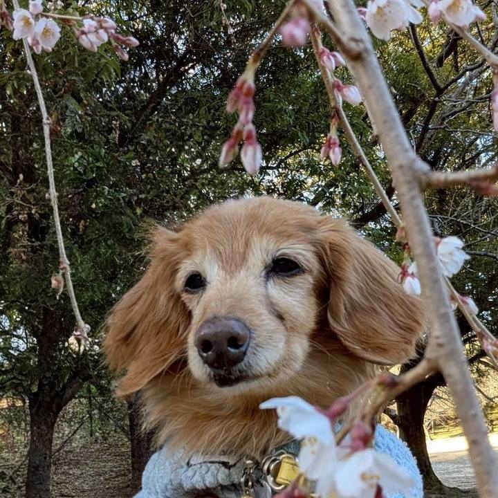 Bbb00142 8fe5 44bc a8d6 323f1aa1d1d3 1773720741892