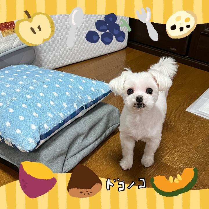 Bbb01df7 2532 4ee6 a640 9ee131e50273 1727249022015