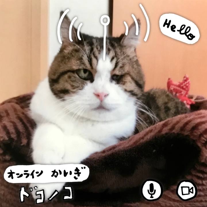 Bbb0503b e5d1 4173 9b4b 2d02a3f3ae0b 1590738589951
