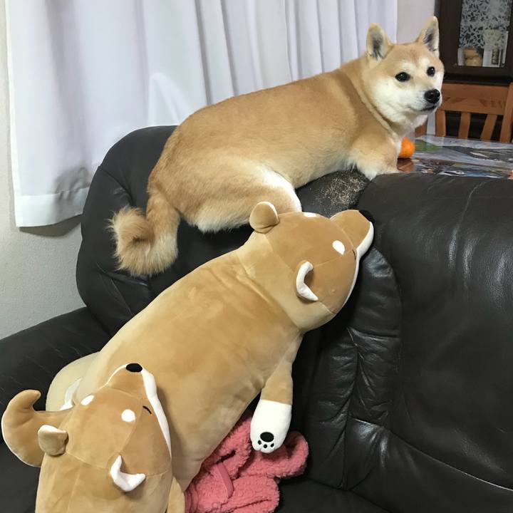 Bbb0c6d3 dbc5 4fd1 b51b ab9e8b89a71a 1519128413790