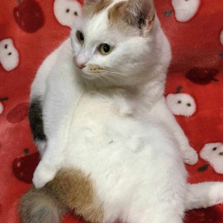 Bbb0ee4c 4302 4e20 ba17 1815a4be8ace 1519564138245