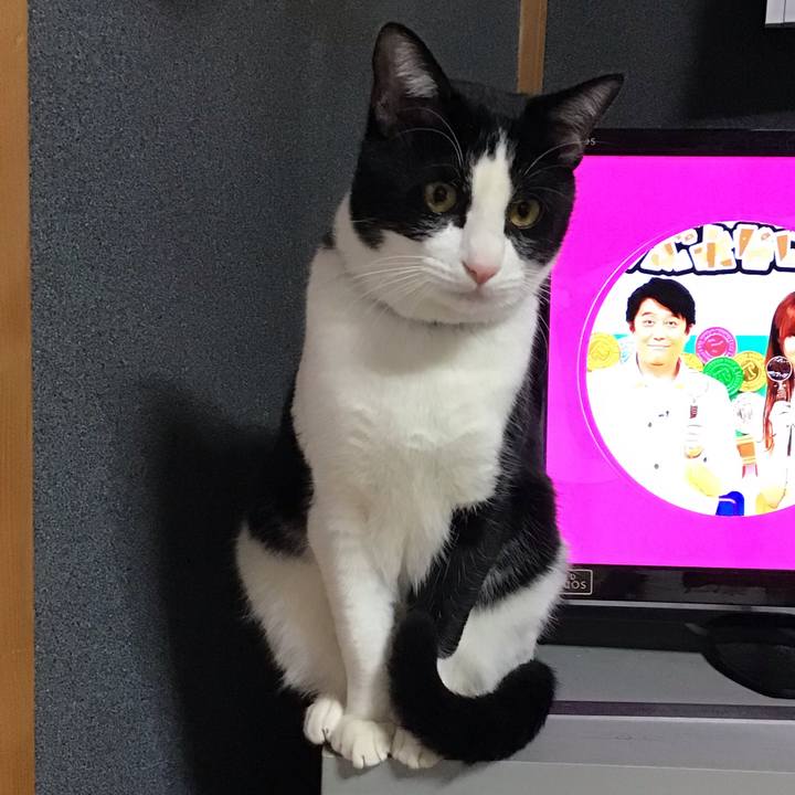 Bbb0f37c 3ddd 47bd bdb4 bde50fbb1217 1644736549578