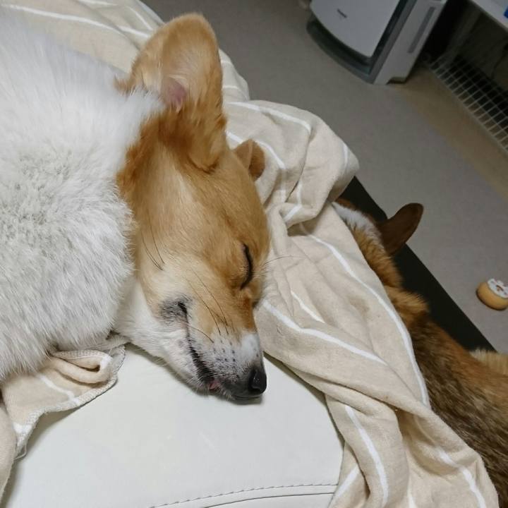 Bbb1024d e190 4430 90bd 6a3c3f85f6b3 1523363538268