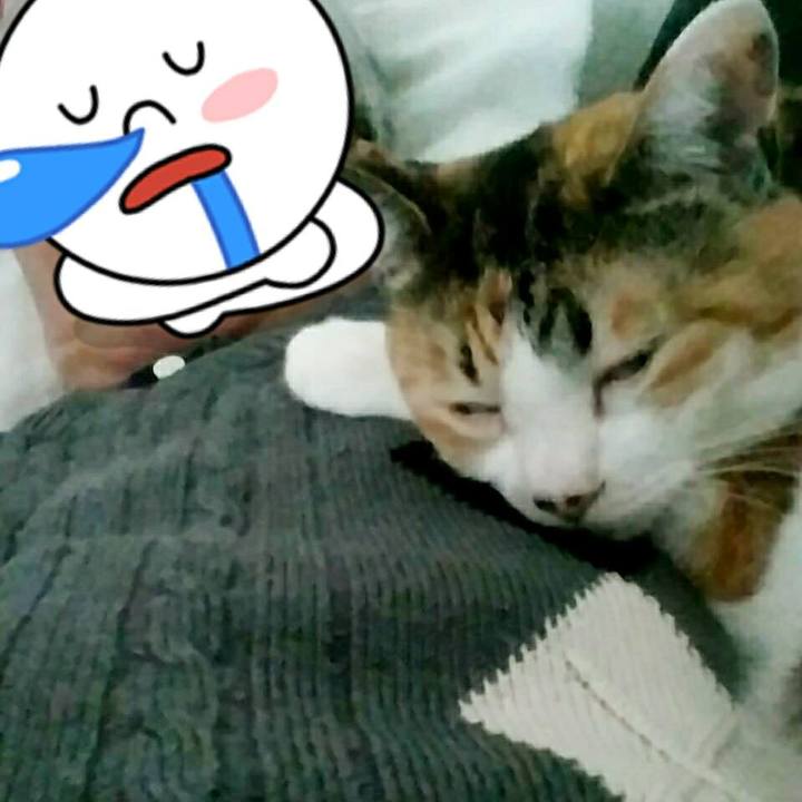 Bbb11d91 c234 42a9 90ca 90eecbf61c6b 1511690747341