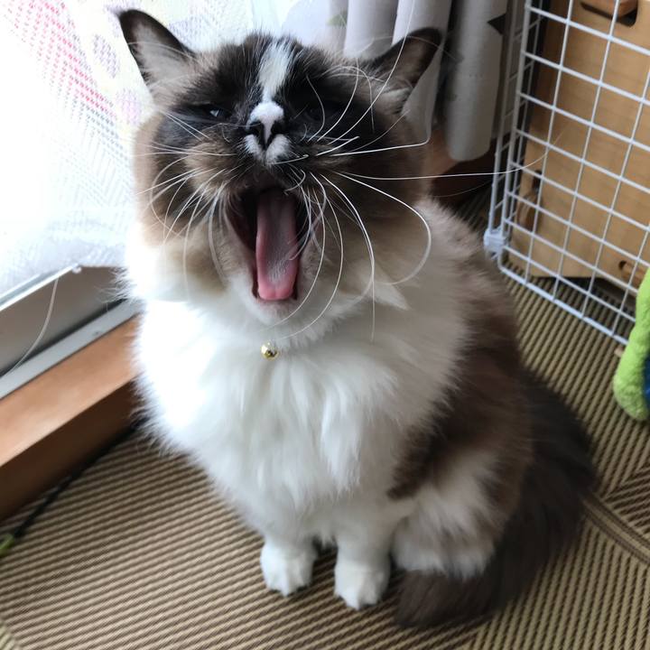 Bbb13477 ca9c 4edc a1d3 6322a16cbd41 1516802569166