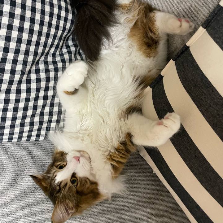 Bbb1381e e25f 486f b90f 3c6ffba54a76 1646990263381