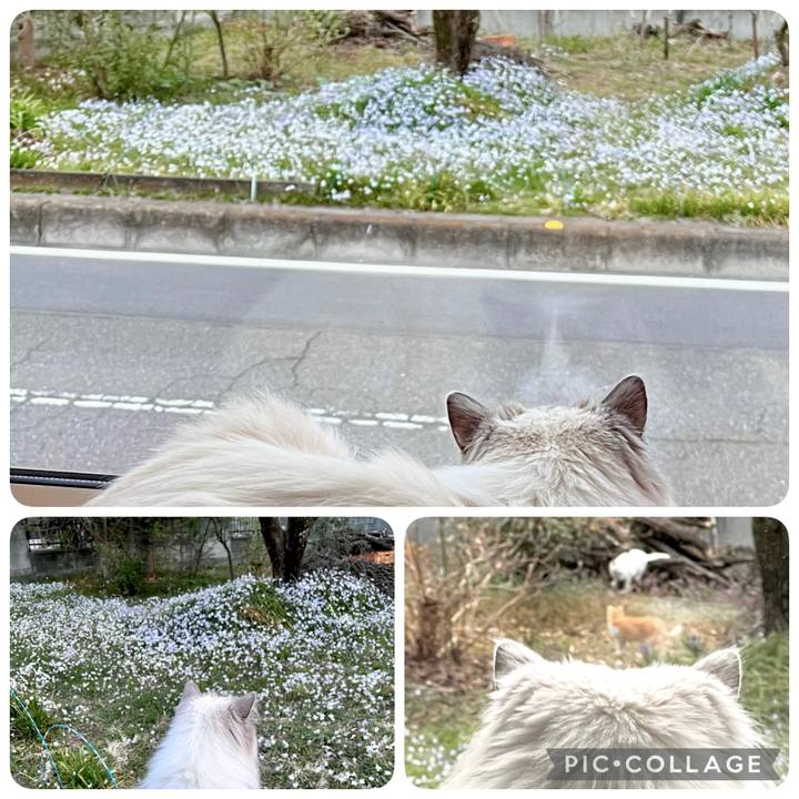 Bbb13a96 50d2 4729 8ad3 b2676fb5a47c 1649453523163