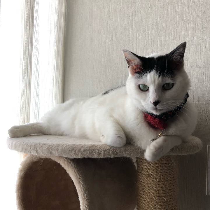 Bbb18daa 1483 42d3 b04a f862379dfe83 1525396788695