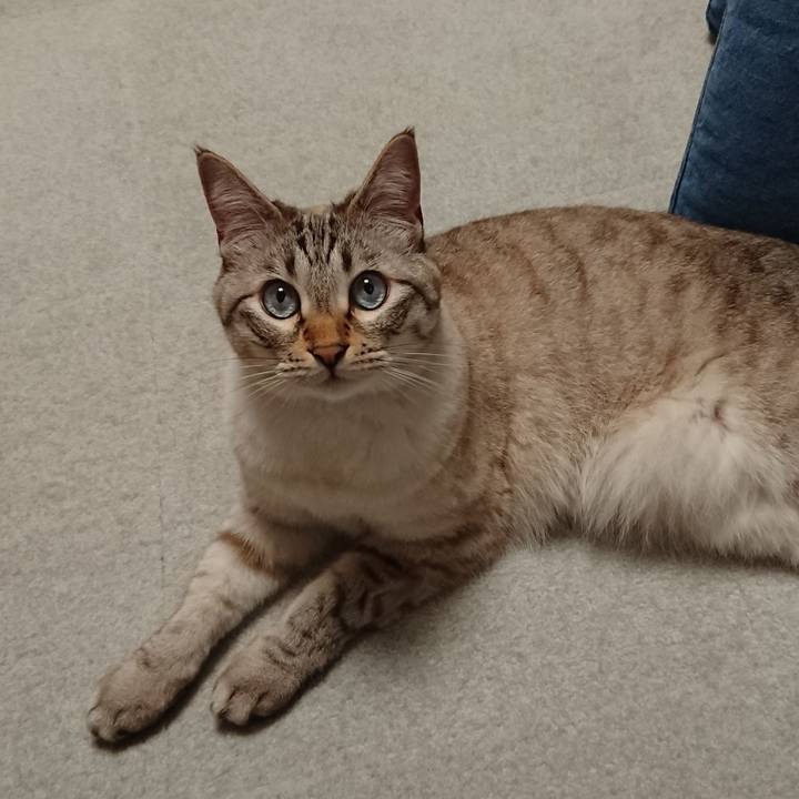 Bbb1a7cf 714a 4af0 9d25 3400e98fe214 1561560594237