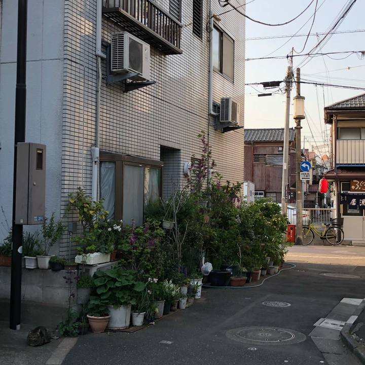 Bbb1af64 1aee 42a3 b477 ba36f0e5272c 1523739105170