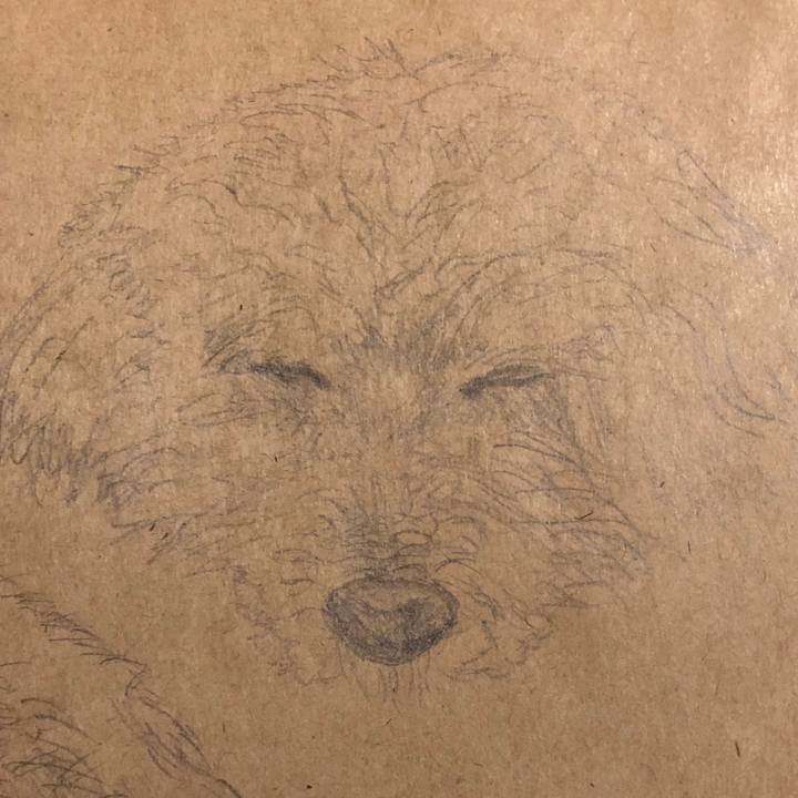 Bbb1bfae 9b30 42df ad67 5a307b853be1 1565778449410