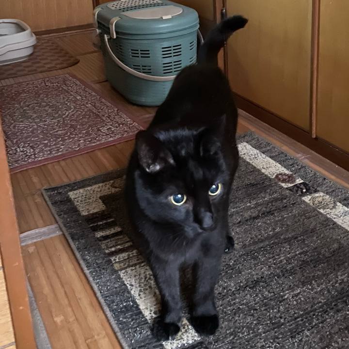 Bbb1d399 44f1 48af b453 d68a9d04baf8 1611453994141