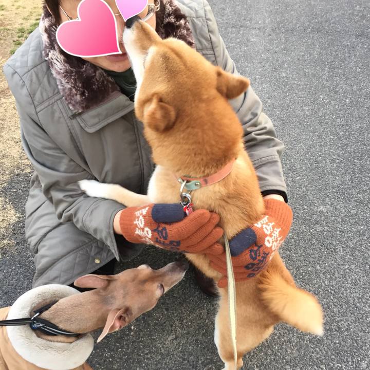 Bbb1da0e 3e58 47cc 86a2 97dc99ddae8c 1519378135382