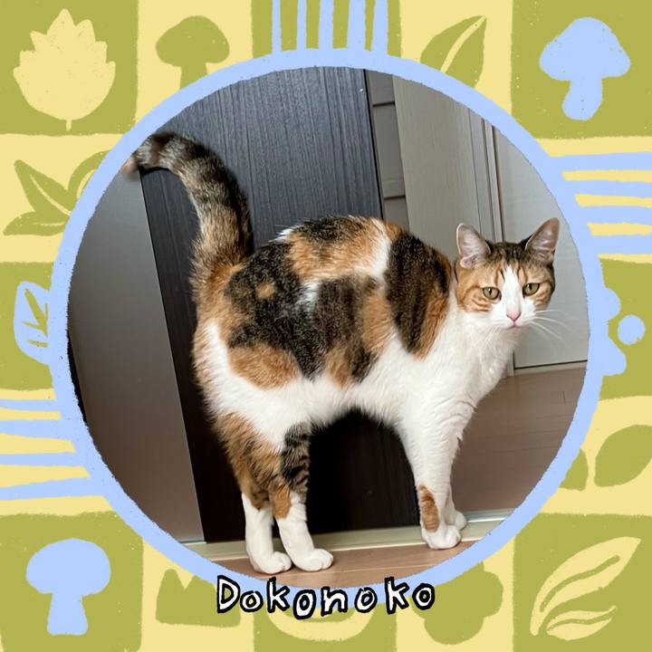 Bbb1e830 1e1a 4880 9046 57b8b514e7c9 1762228631474