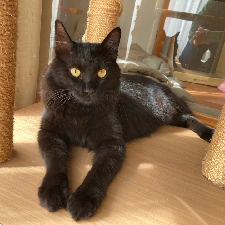 Bbb22f40 c08c 4fac 97f8 cae0678609da 1731393442687