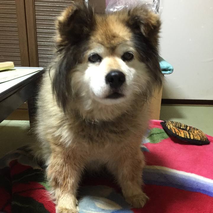 Bbb244ae 0563 4d94 a2dd acc3cc3da7e3 1568914244985