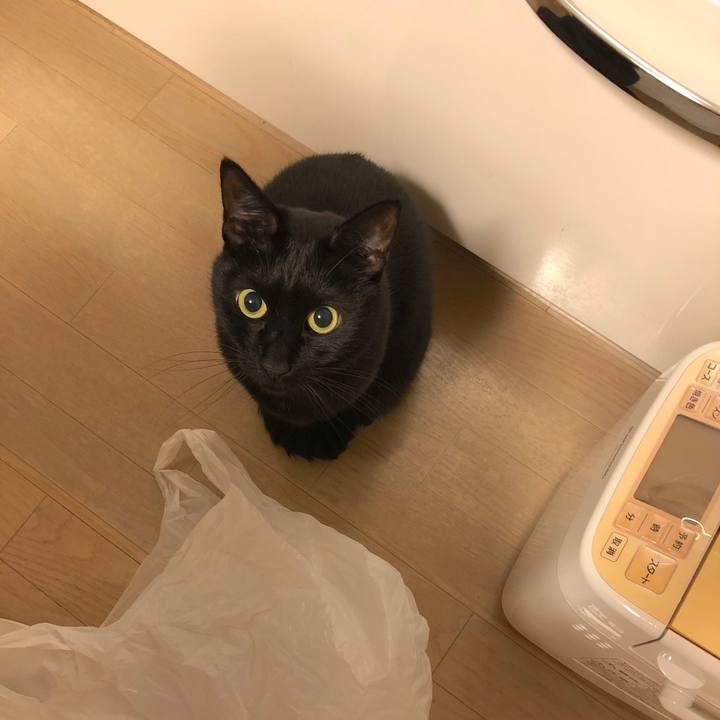 Bbb257cb 1b2e 4a87 aef1 68d35e910f3c 1551777350915