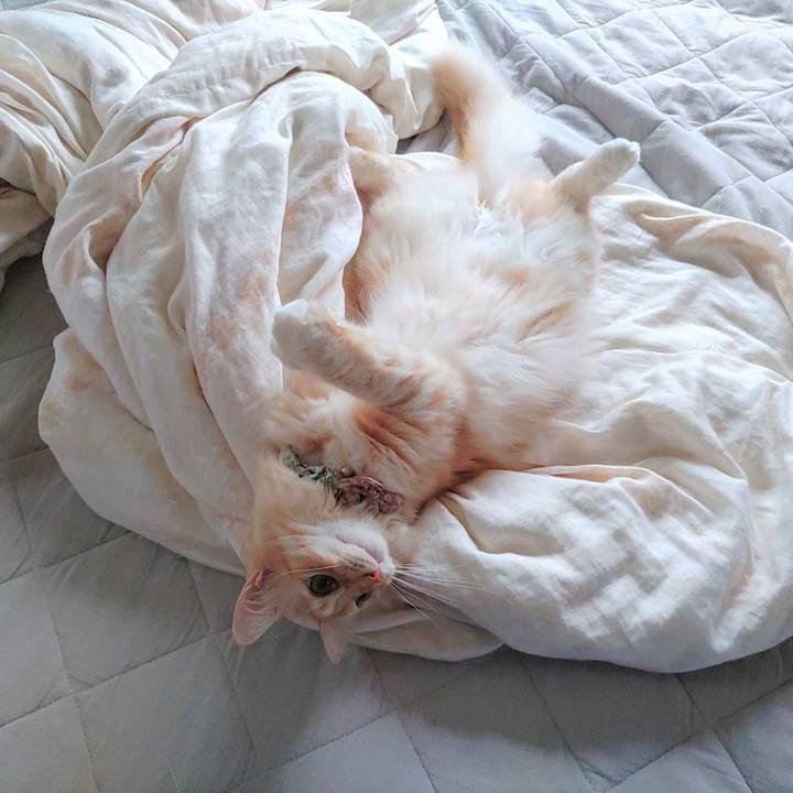 Bbb25bb7 564b 400d 9816 453e4153c6a8 1695855639020