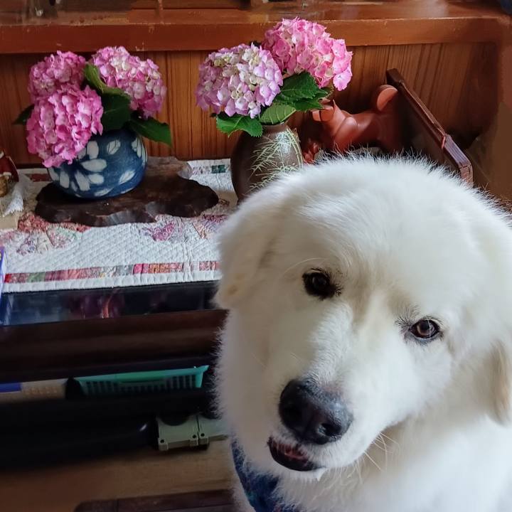 Bbb27a02 2d97 4867 a1d5 a5854e3392ff 1717458654206