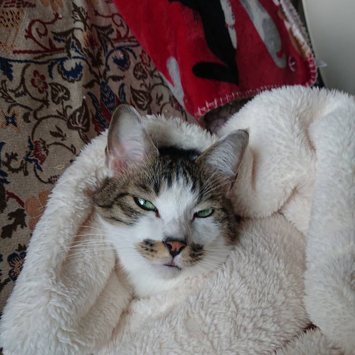 Bbb28c1c 6115 4e6e abd8 073fb4efd530 1671864189662