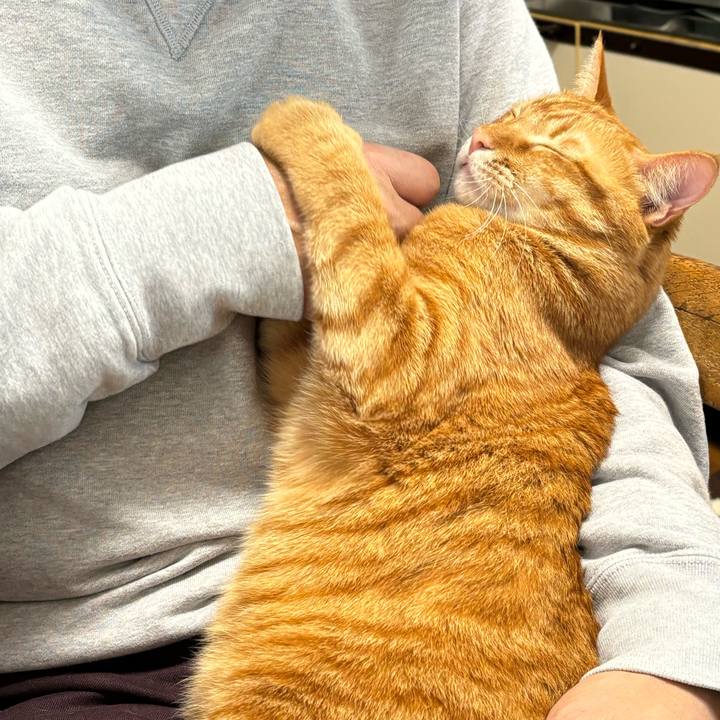 Bbb2a906 df0e 4ea5 8d44 0576b8afa75b 1710559181151