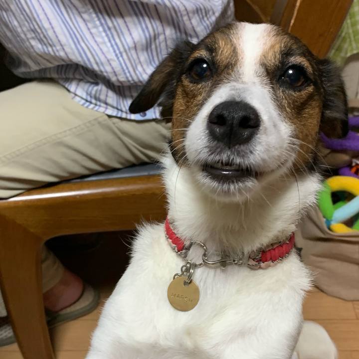 Bbb2d5cb 00f1 4bc7 9549 79a632be19ec 1562410458096