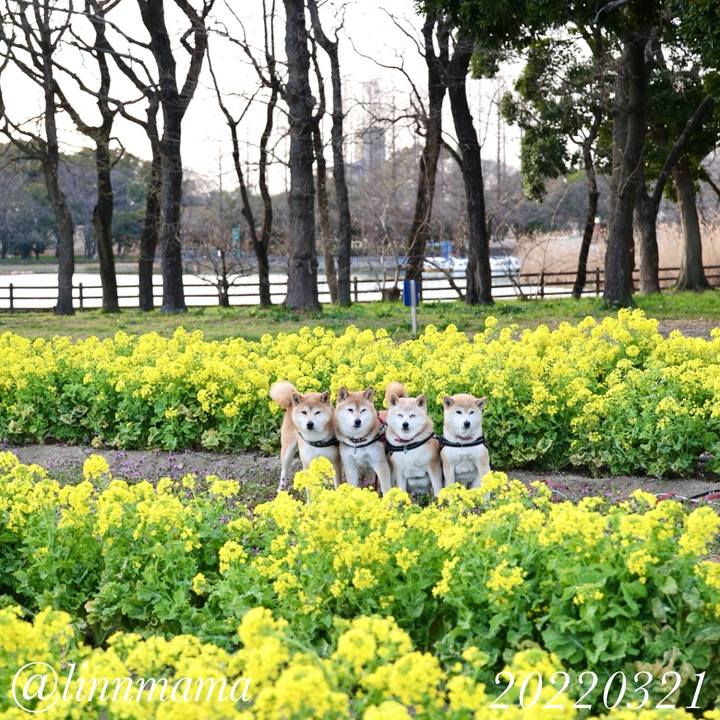 Bbb2d801 14db 4243 9ec0 8b350475a7e2 1771432056665