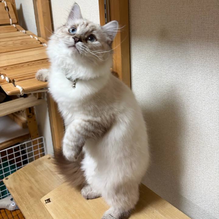 Bbb2ece5 9799 4ef4 9b40 55ef75fb987a 1772711238825