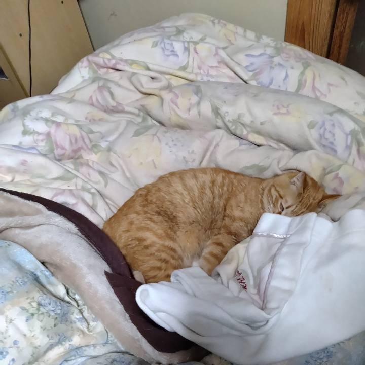 Bbb308a5 c170 4ffe becc a74033a88ff8 1708254187241