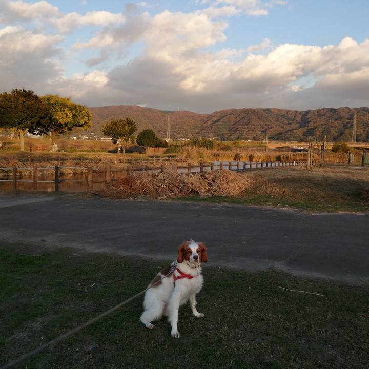 Bbb30aea 430b 4bd1 a888 bda2e33988c1 1575019798672