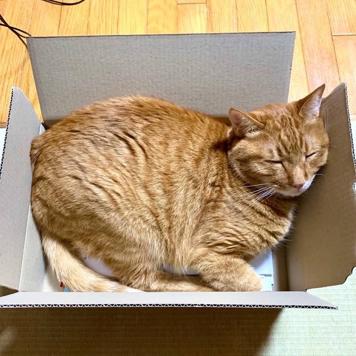 Bbb3744d 9895 43e1 8d8f 58b3bf190cb7 1591357639800