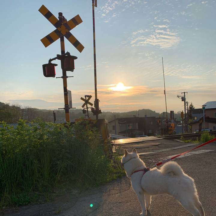 Bbb39753 8f19 43cc ba34 6f25fbcd807a 1590265976886