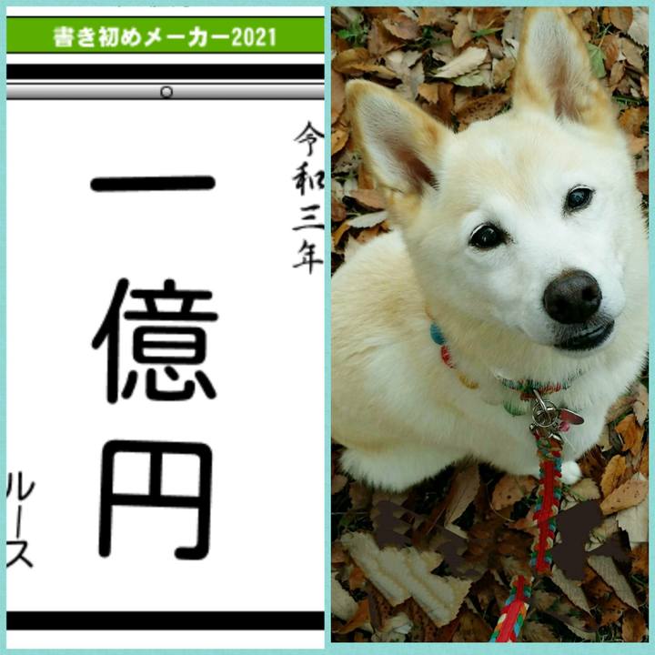 Bbb40bce c820 4060 8c0c 7f33294f0e72 1609890766142