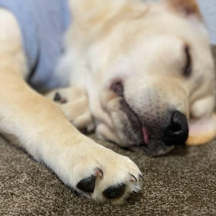 Bbb415c3 652a 4efc 9093 a213c67aa771 1615713760311