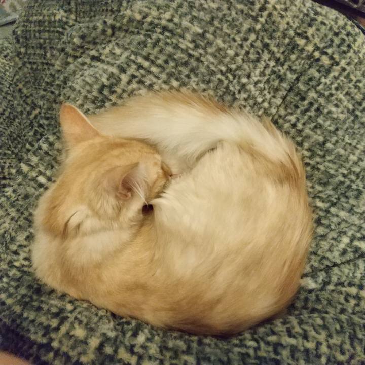 Bbb42909 fe85 4324 8e11 ebbfc0826555 1611833265875