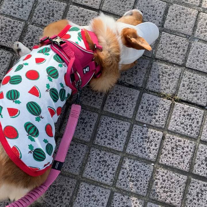 Bbb43a0c bae6 44d4 a31b ee5b554e2154 1659050633895