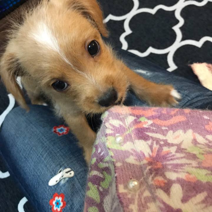 Bbb45798 9512 4194 bcfe 809840365d7e 1517031241470