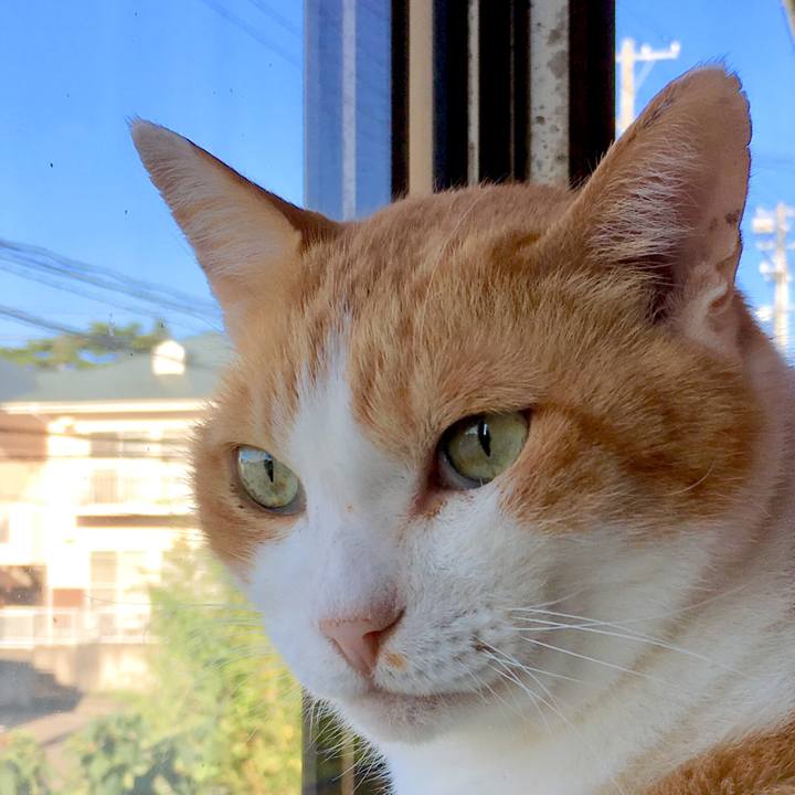 Bbb49e7c c9e8 49e9 aefd a80cc51ed77d 1570071812014