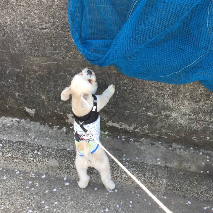 Bbb49fc2 f178 41a6 9a12 b1b56a2b5602 1522480470238