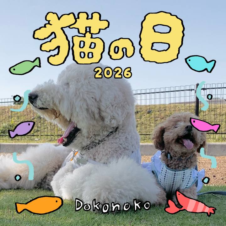 Bbb4bc0e c499 4bb1 9e51 71e733d93b1d 1771756028479