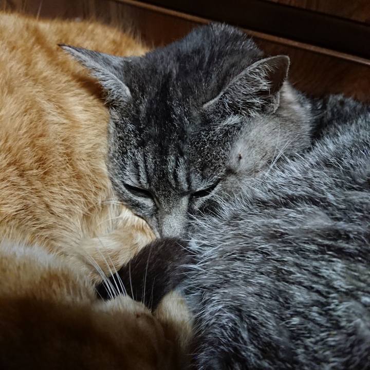 Bbb4c2af b5a9 43ae bf4b a84e7c825d1e 1577884643111