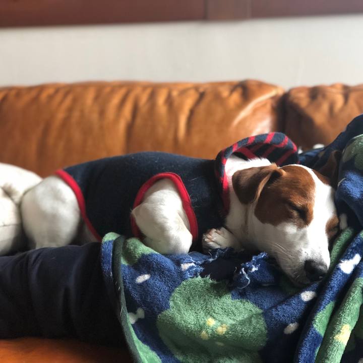 Bbb503e6 5e03 4ebf 940a 7f670aa4c645 1553937622144