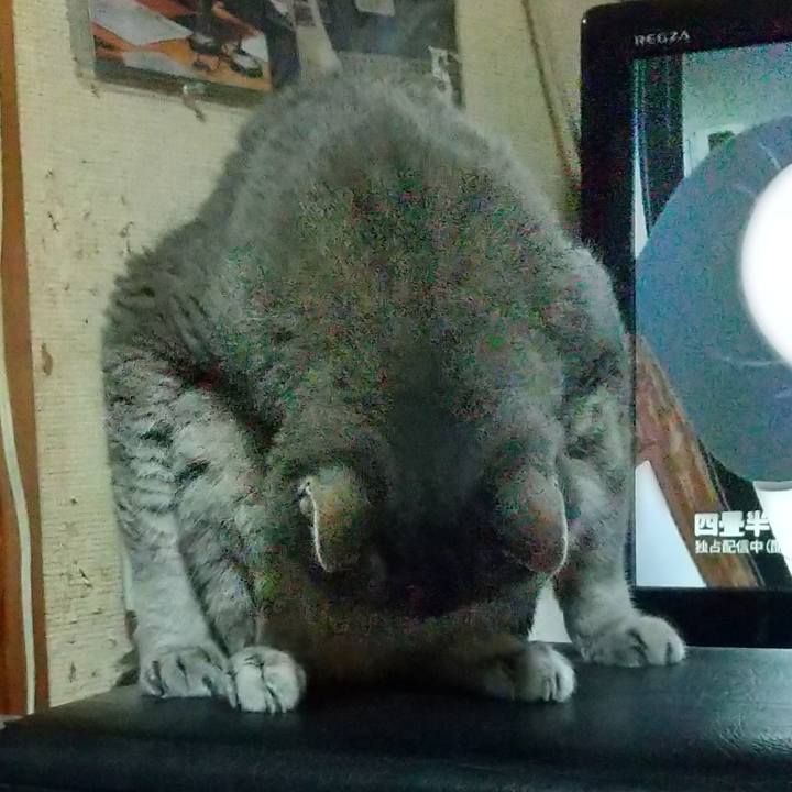 Bbb50a92 2937 4f65 b390 c3c7673a9899 1663762106200