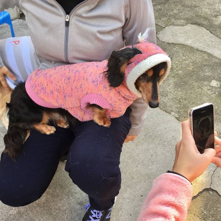 Bbb50d5a ee62 45fd bc02 130e263eb0ac 1548754917230