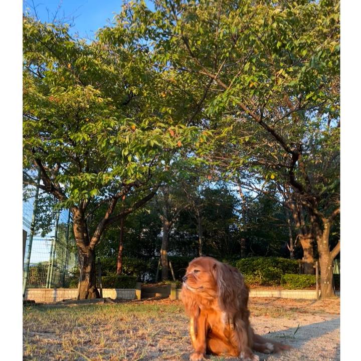 Bbb54ab3 248d 4ce9 aa4d 6db5c3b58b01 1664666542971