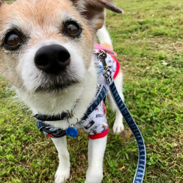 Bbb55692 8014 442a 881e cb8c3646eeb1 1655432733913